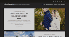 Desktop Screenshot of odblaski.pl
